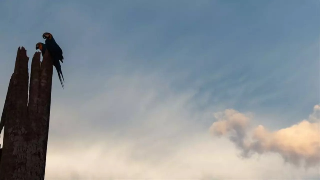 Tempo seco predomina e Mato Grosso do Sul mantém clima ameno em plena estiagem