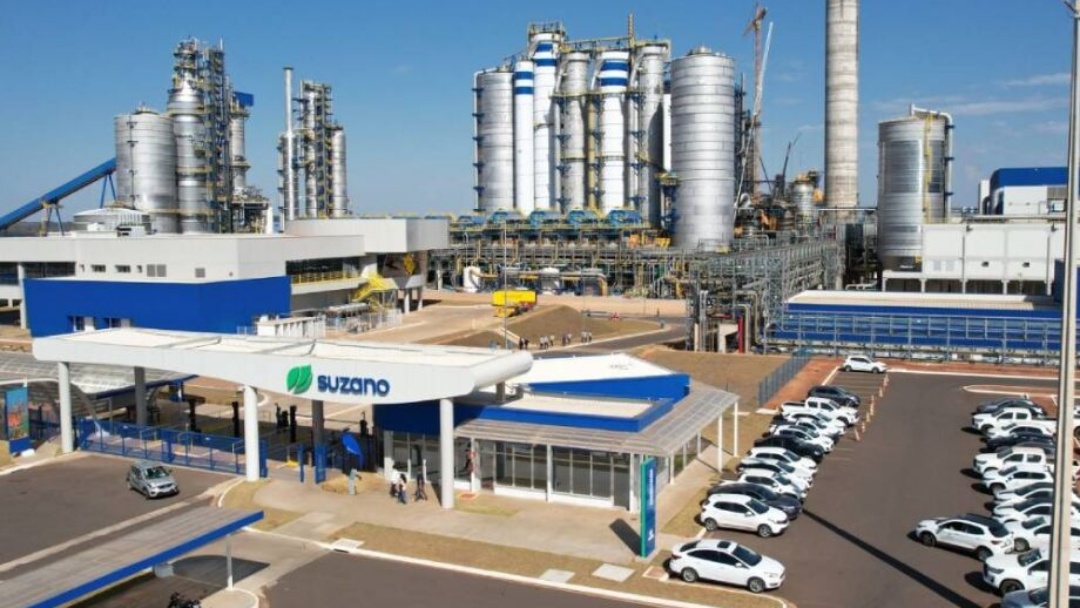 Ap&oacute;s in&iacute;cio da guerra comercial, exporta&ccedil;&otilde;es de MS despencam   