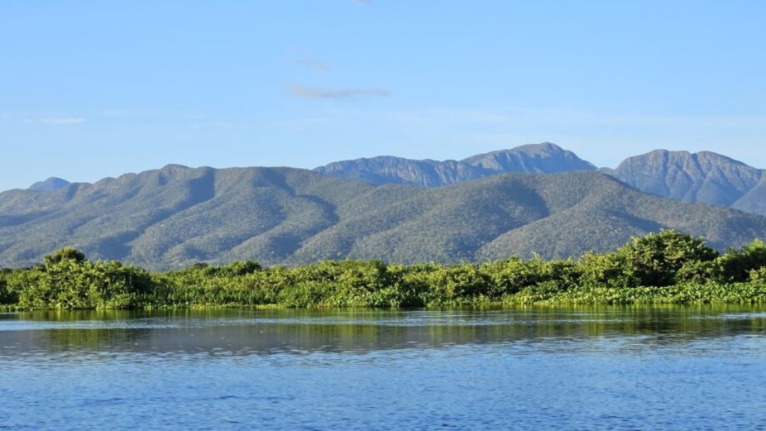 Lei do Pantanal fez desmatamentos ca&iacute;rem pela metade no bioma de Mato Grosso do Sul 