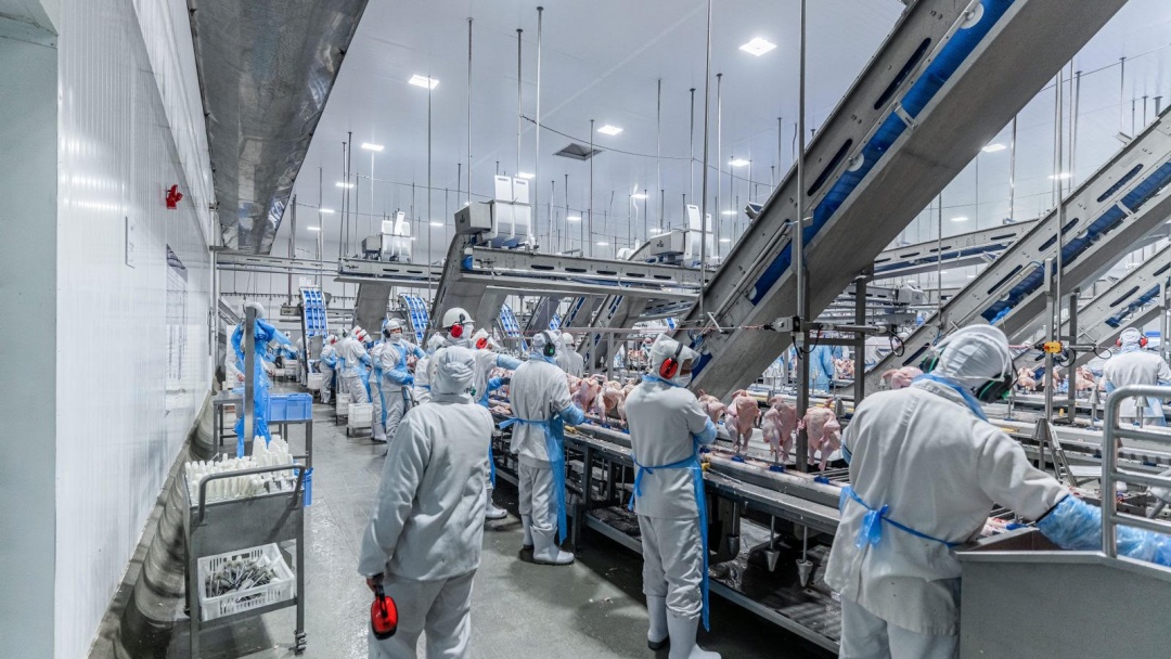 Frigoríficos de Sidrolândia entre as 59 indústrias impedidas de exportar frango para China