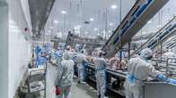 Frigor&iacute;ficos de Sidrol&acirc;ndia entre as 59 ind&uacute;strias impedidas de exportar frango para China