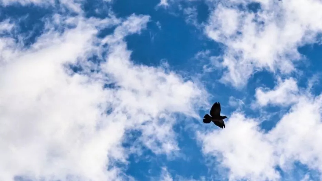 Atmosfera estável marca início da semana, com tempo seco e sem previsão de chuva
