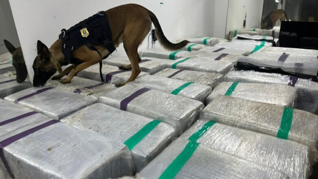 Douradense é preso no Rio de Janeiro com carga de maconha em caminhão