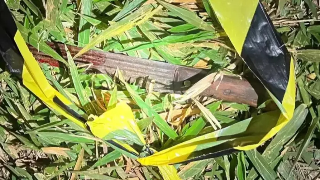 Homem é morto com facada no tórax durante desentendimento com colega em fazenda