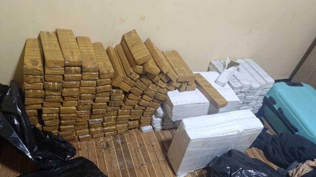 Indivíduos são detidos com quase 300 quilos de maconha na fronteira