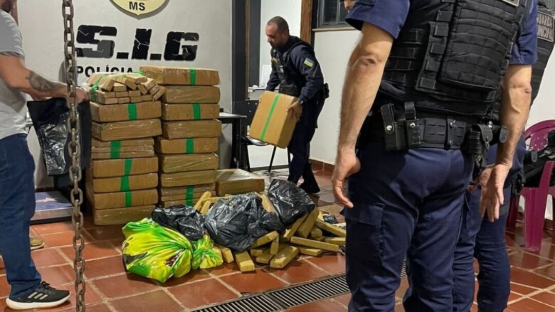 Ação policial termina com apreensão de 500 kg de maconha e quatro presos
