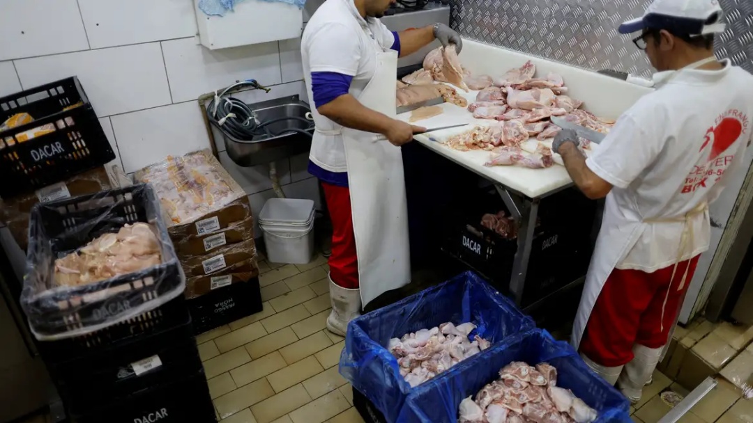 Prazo de 28 dias para Brasil ficar livre da gripe aviária começa hoje