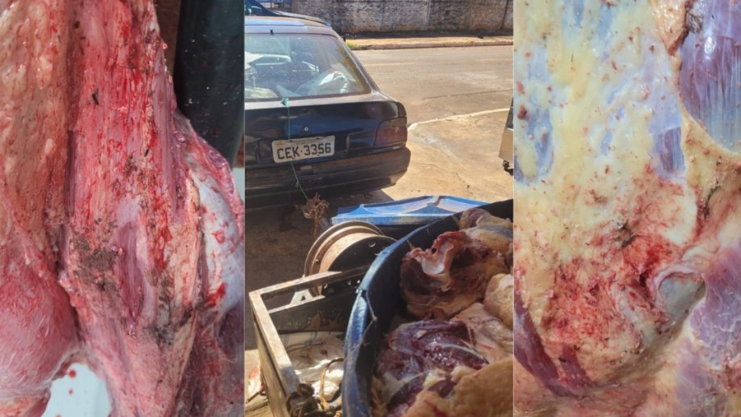 Polícia apreende quase duas toneladas de carne com terra e insetos