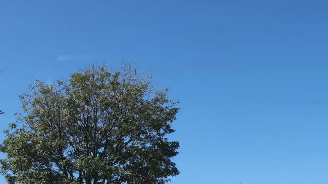 Manh&atilde; fresca, s&aacute;bado ter&aacute; tempo firme e poucas nuvens no c&eacute;u em Mato Grosso do sul