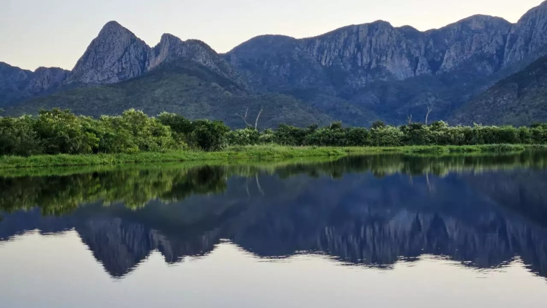 Estação inédita no meio do Pantanal revela frio recorde de 2°C