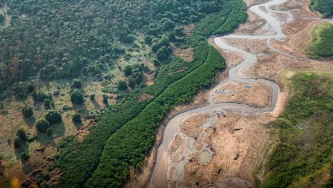 Queimadas fazem desmatamento crescer 92% na Amazônia