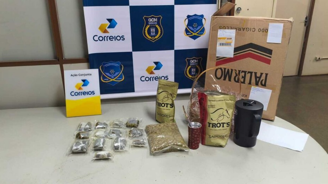 Erva da boa? Traficantes tentam despachar maconha como se fosse terer&eacute; em MS 