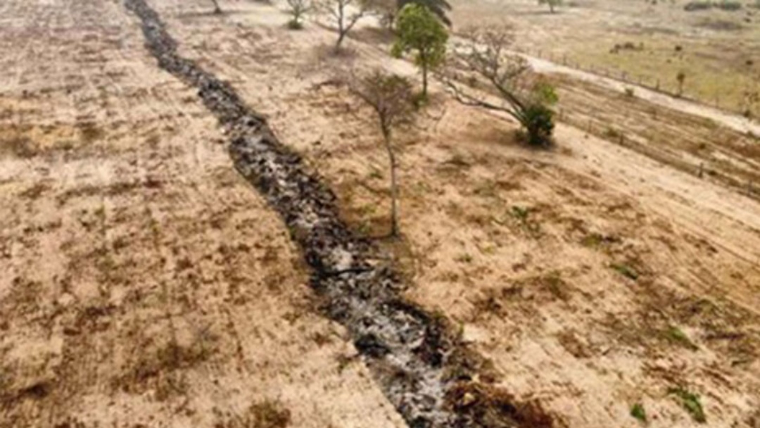 Inquéritos são instaurados para apurar incêndio no Pantanal