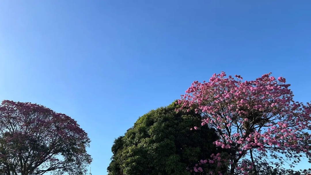 Mato Grosso do Sul tem manhã gelada e previsão de chuva no fim de semana