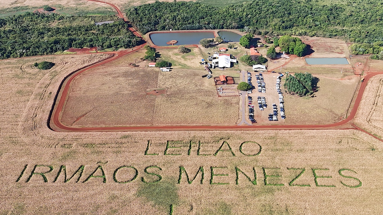 3º Leilão de Elite Irmãos Menezes será entre os dias 27 e 29 de junho e reforça protagonismo da raça Nelore