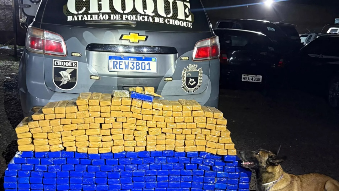 PM descobre ‘guarda-roupa’ usado para armazenar maconha avaliada em mais de R$ 700 mil em Campo Grande