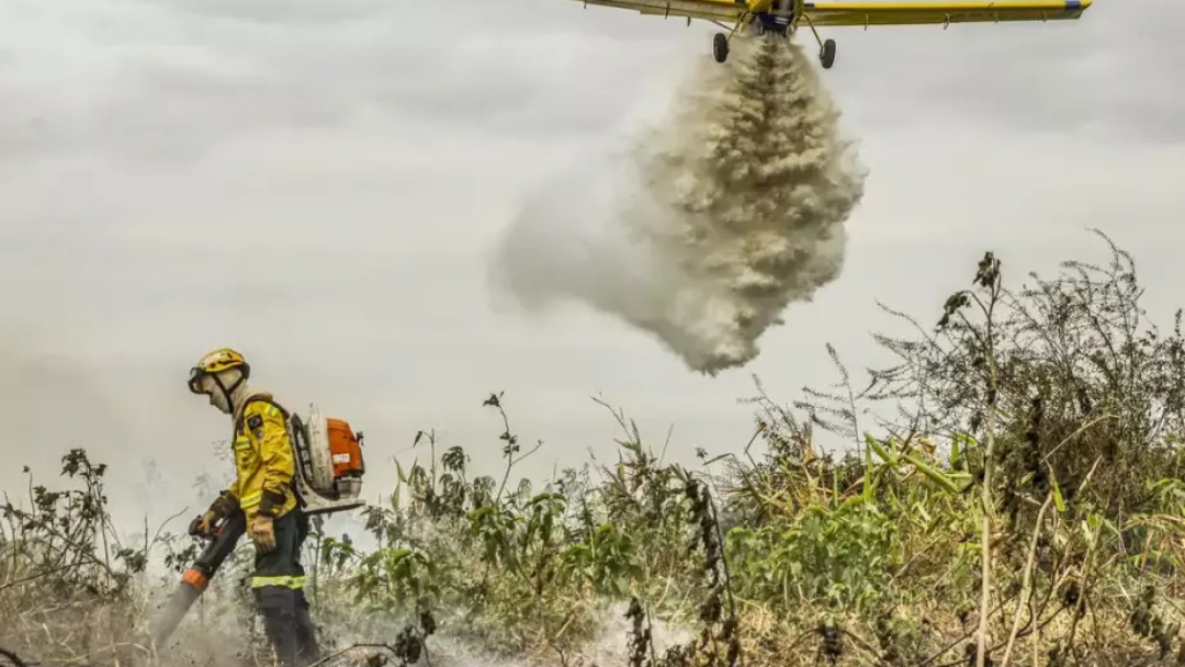 PF monta opera&ccedil;&atilde;o de combate a inc&ecirc;ndios e prioriza o Pantanal  