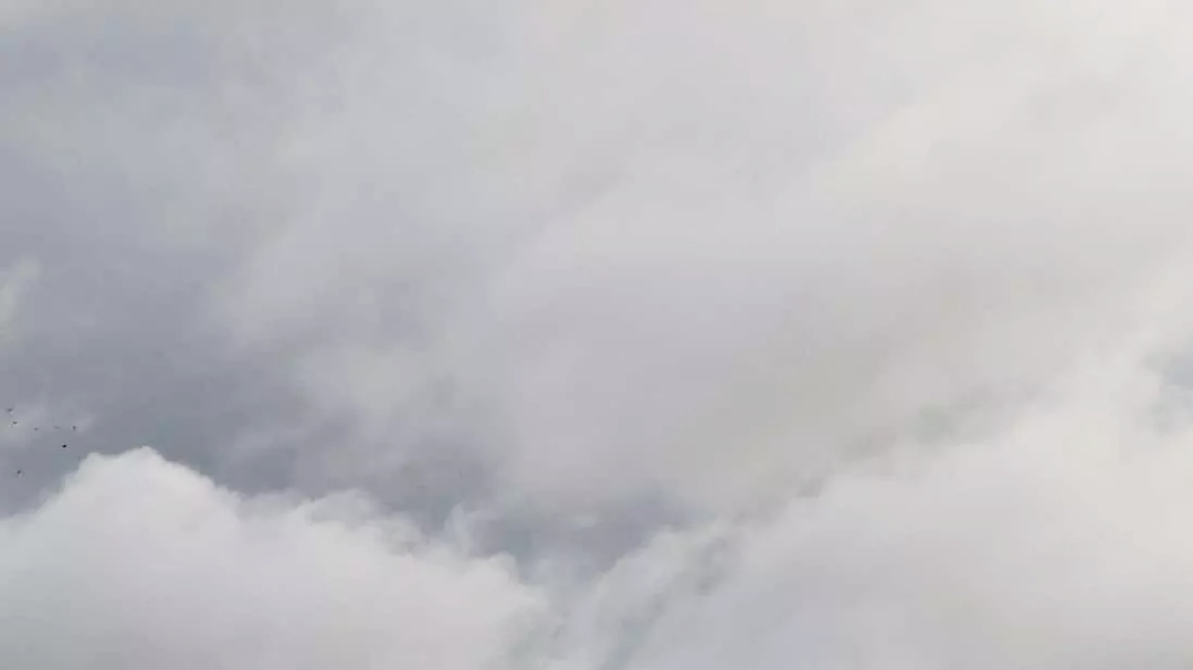 M&iacute;nimas negativas e geada atingem sul do estado com sensa&ccedil;&atilde;o t&eacute;rmica de &ndash;6,9â¯&deg;C