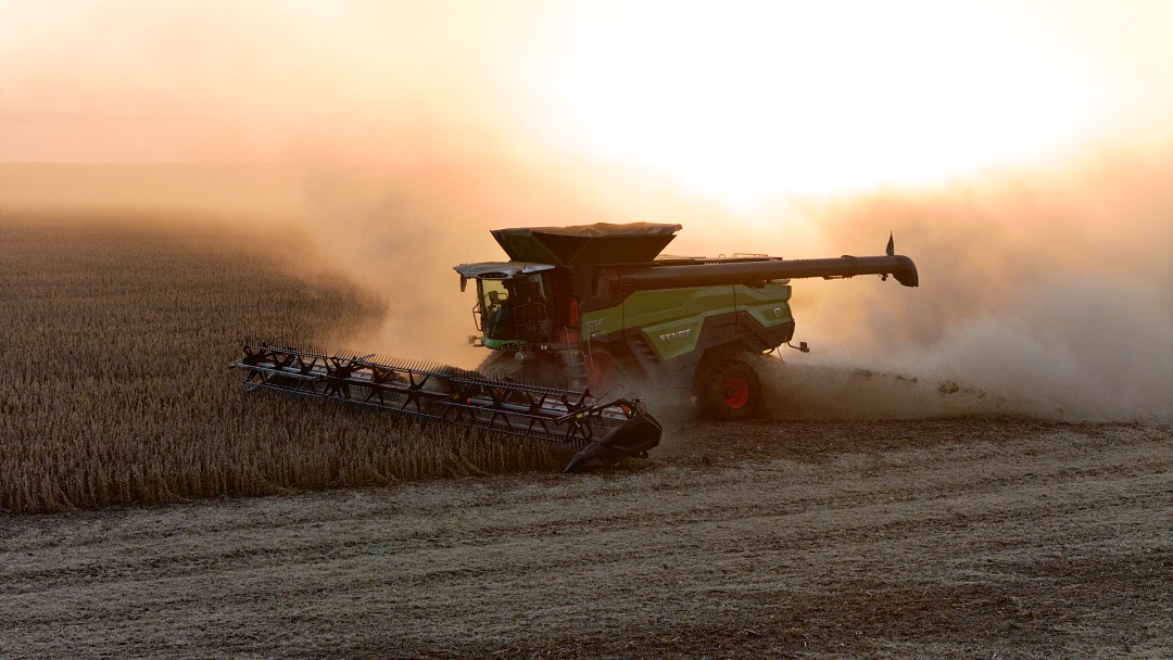 Plano Safra 25/26 ter&aacute; R$ 516,2 bilh&otilde;es &agrave; agricultura empresarial, alta anual de 1,5%  