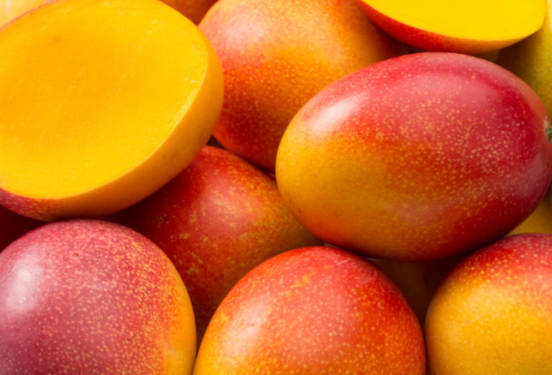 A fruta mais exportada pelo Brasil &eacute; a manga