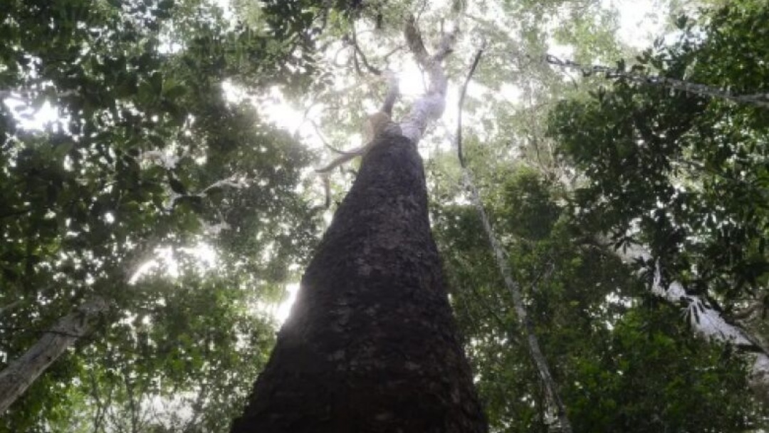 Brasil mobiliza Brics para resultados ambiciosos  