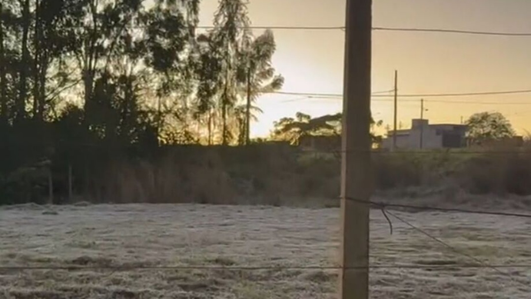Terceiro dia consecutivo de frio tem geada em MS  