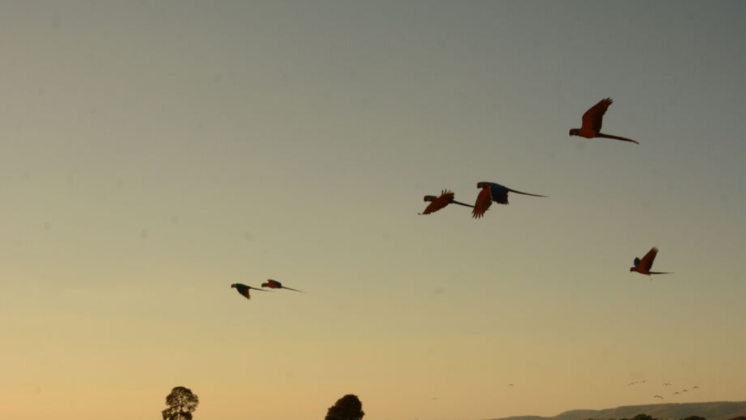 MS enfrenta primeira onda de baixa umidade do ar