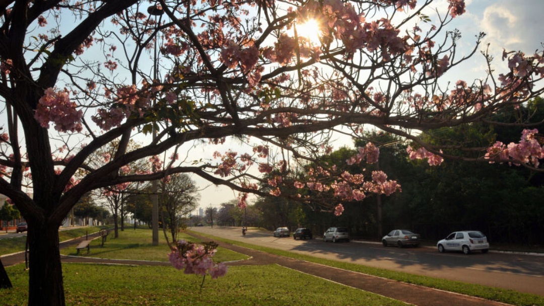 Confira a previs&atilde;o do tempo para hoje (7) em Mato Grosso do Sul e demais regi&otilde;es 