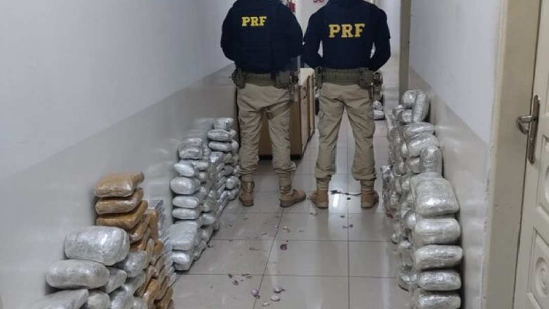 Pol&iacute;cia apreende maconha e cloridrato de coca&iacute;na em &ocirc;nibus 