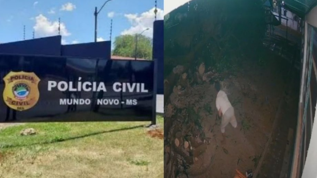 Ladr&atilde;o &#039;sem perna&#039; pula muro para furtar col&eacute;gio no interior de MS