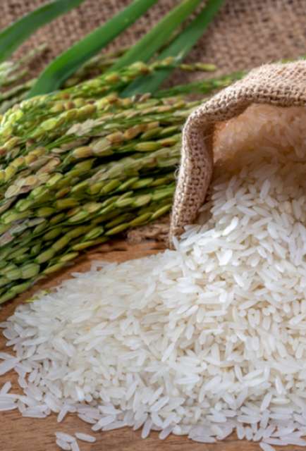 Brasil celebra abertura de mercado na Costa Rica