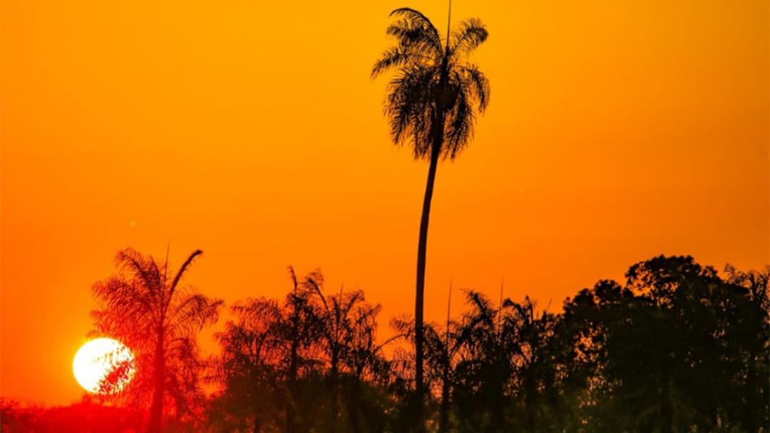Confira a previs&atilde;o do tempo para hoje (11) em Mato Grosso do Sul e demais regi&otilde;es	