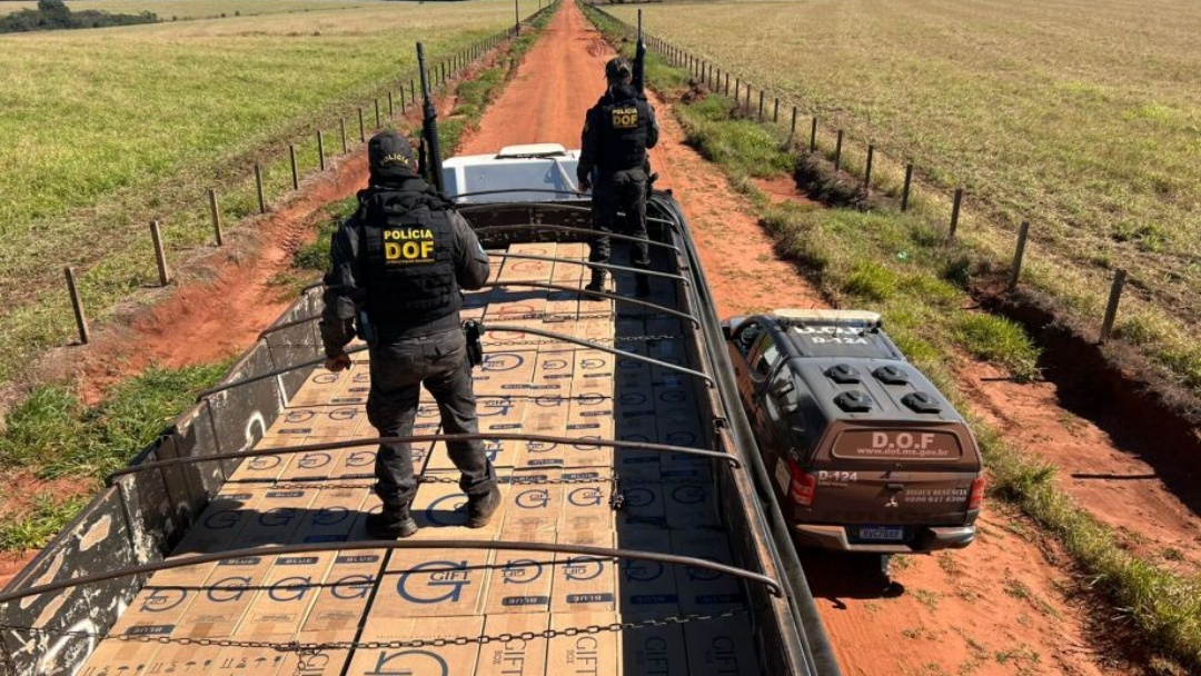 DOF apreende R$ 1,4 milh&atilde;o em cigarros contrabandeados no interior de MS   