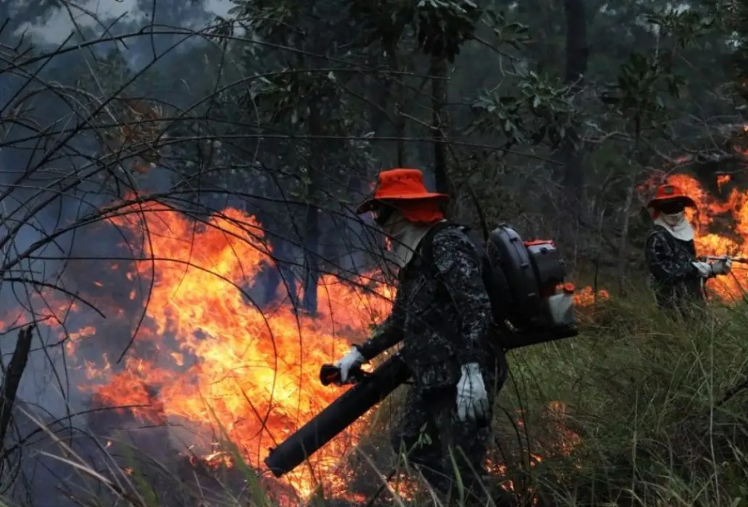 MS publica planos de conting&ecirc;ncia para desastres por chuvas e inc&ecirc;ndios