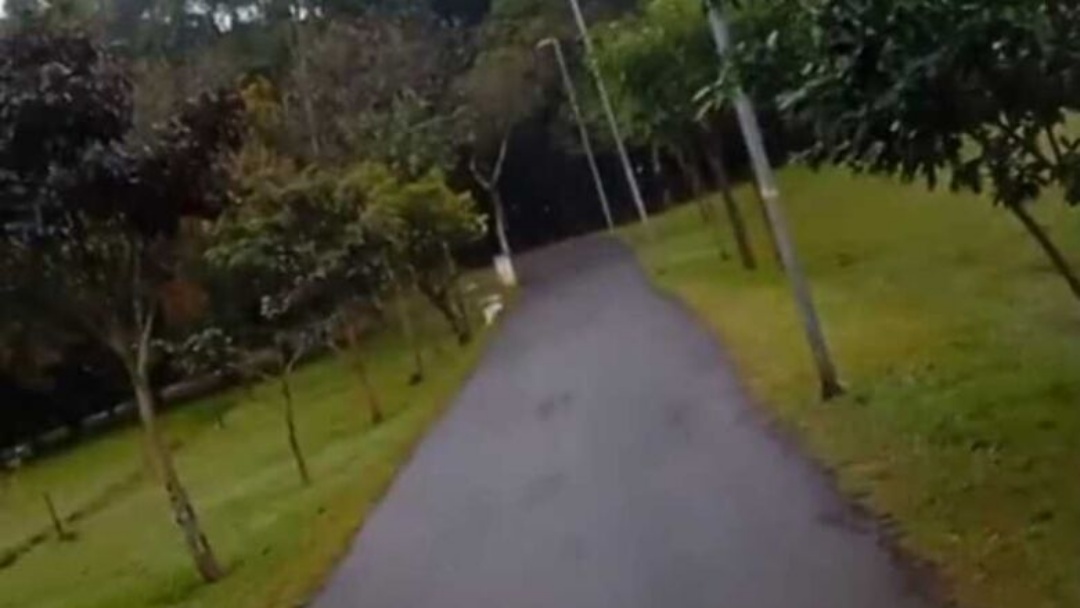 Funcionário da Prefeitura impede tentativa de abuso no Horto Florestal em Ponta Porã