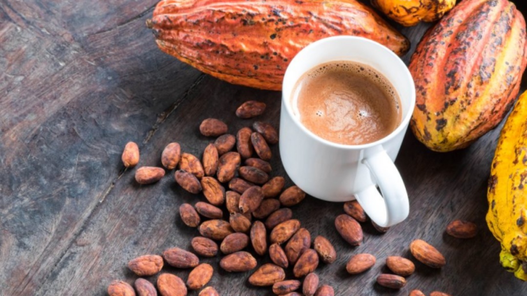 Trump quer tarifa global sobre produtos brasileiros; caf&eacute; e o cacau podem ser isentos