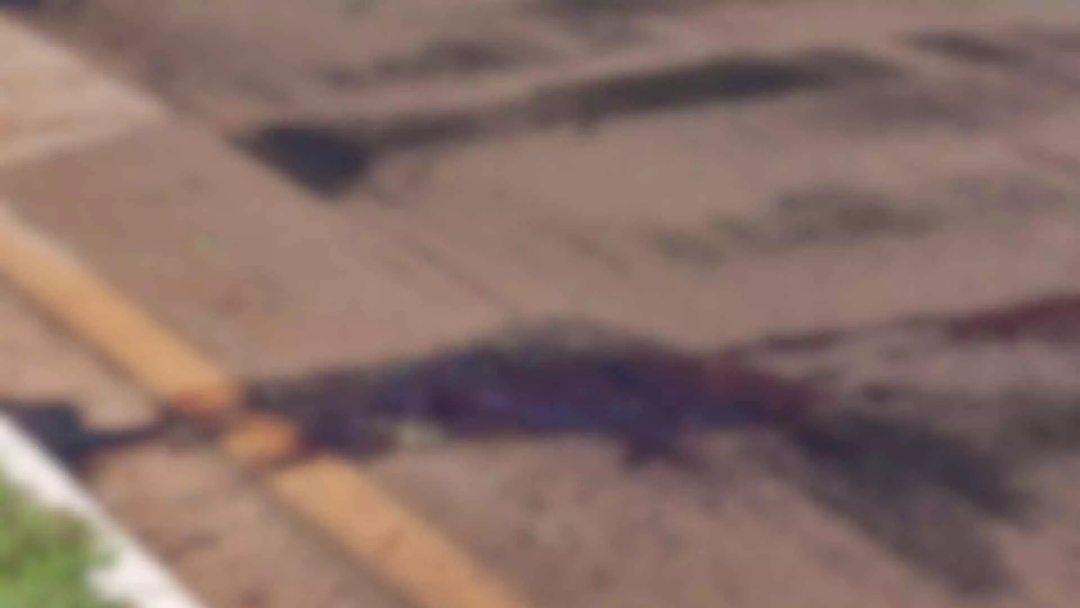 Morador em situa&ccedil;&atilde;o de rua &eacute; assassinado com 7 facadas na regi&atilde;o das costas e na nuca 