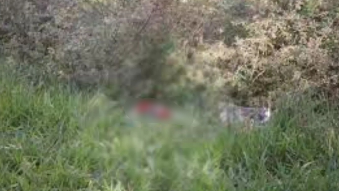 Homem é assassinado com facada no pescoço e corpo desovado em meio a matagal