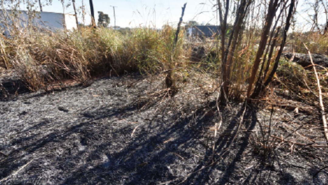 MS tem o menor número de focos de incêndio em 11 anos