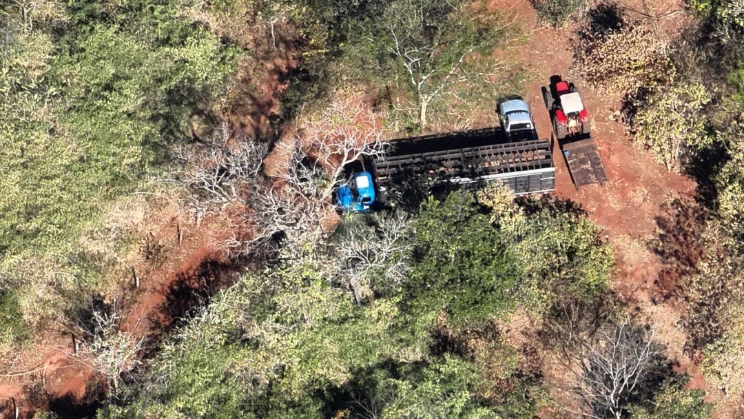 PMA flagra desmatamento no Quebra Coco, encontra 220 postes de aroeira e prende 6 envolvidos
