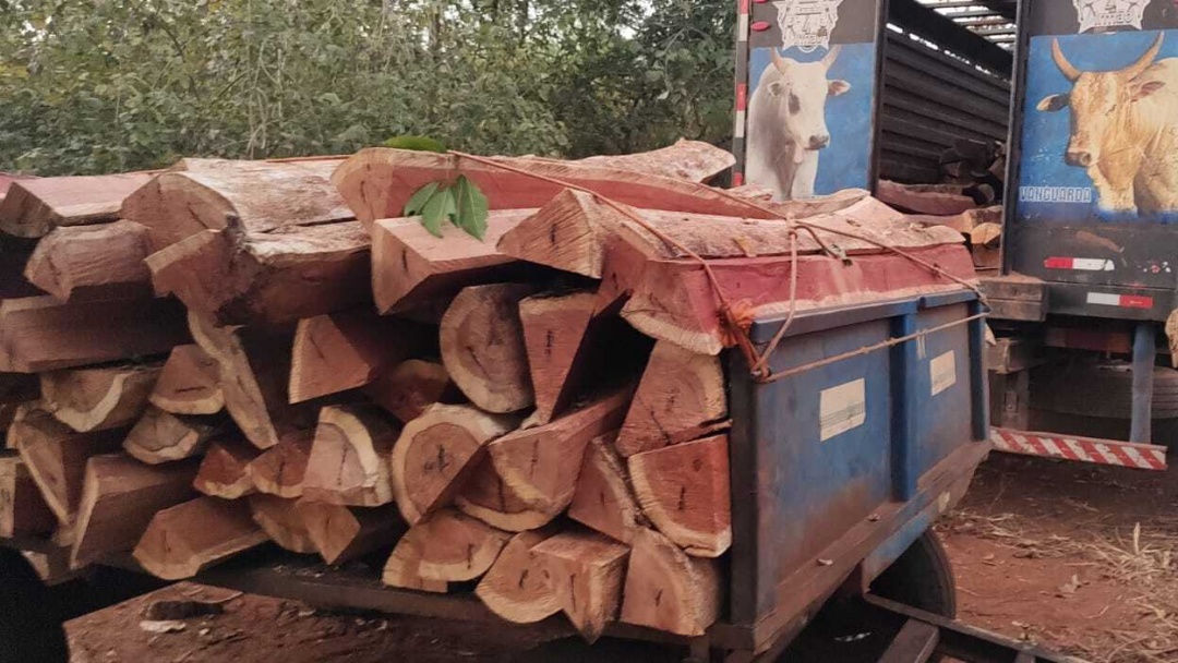 PMA flagra desmatamento no Quebra Coco, encontra 220 postes de aroeira e prende 6 envolvidos