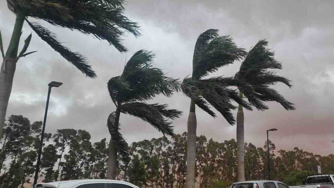 MS registra chuva de 33 mil&iacute;metros e segunda-feira ser&aacute; de temperaturas amenas