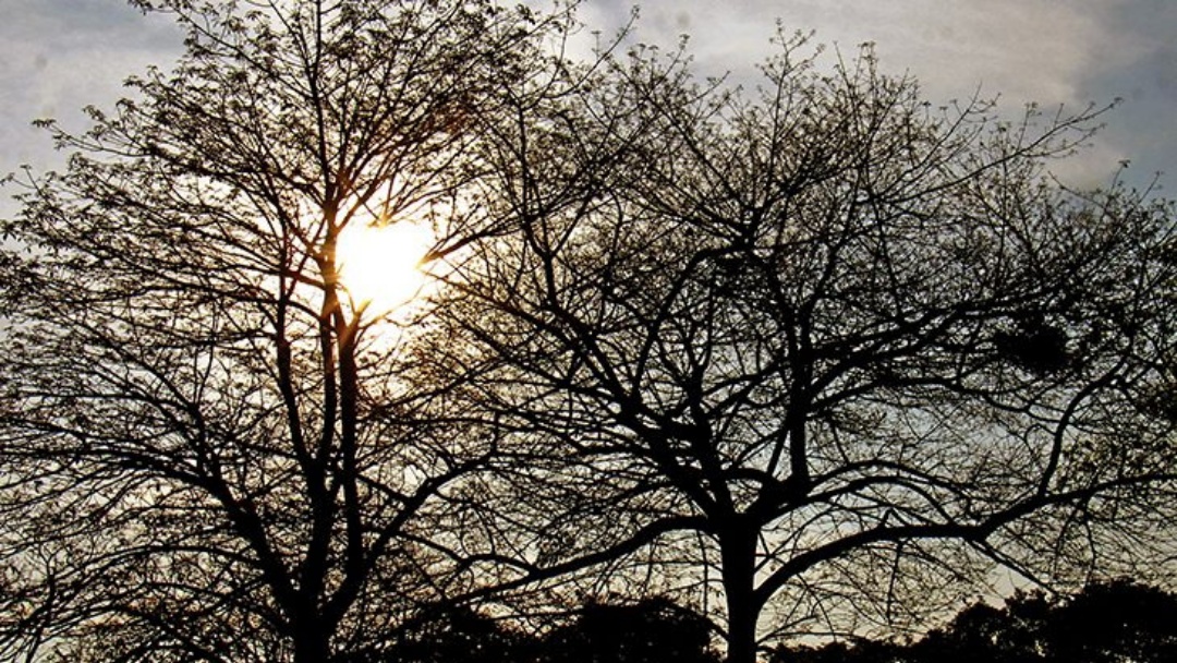 Com manh&atilde; gelada de 11&deg;C, calor retorna gradativamente em Mato Grosso do Sul