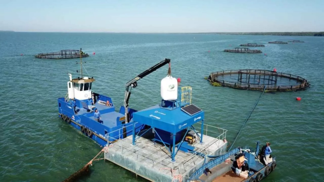 Com as taxas, piscicultura de MS fala em efeito devastador e n&atilde;o descarta demiss&otilde;es