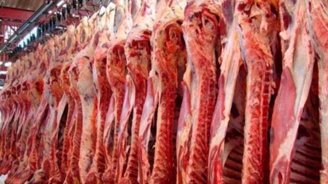 China adia decis&atilde;o sobre importa&ccedil;&otilde;es de carne bovina e traz al&iacute;vio ao agro brasileiro
