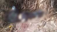 Com ferimentos na cabe&ccedil;a, mulher &eacute; encontrada morta em matagal de Corumb&aacute;