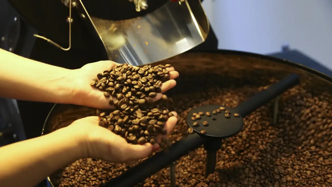 Pre&ccedil;o do caf&eacute; cai pela primeira vez depois de 18 meses, diz IBGE