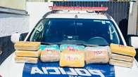 Pol&iacute;cia apreende mais de 13 quilos de maconha em ve&iacute;culo de aplicativo