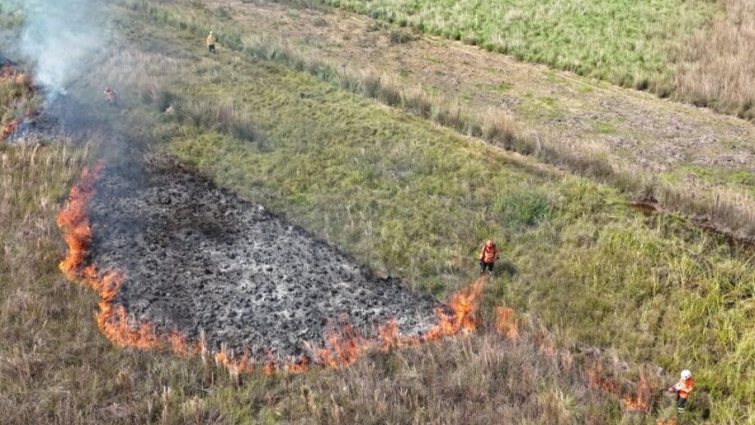 Agosto mal come&ccedil;ou e MS j&aacute; supera 60% os focos de inc&ecirc;ndio do mesmo per&iacute;odo de 2024  