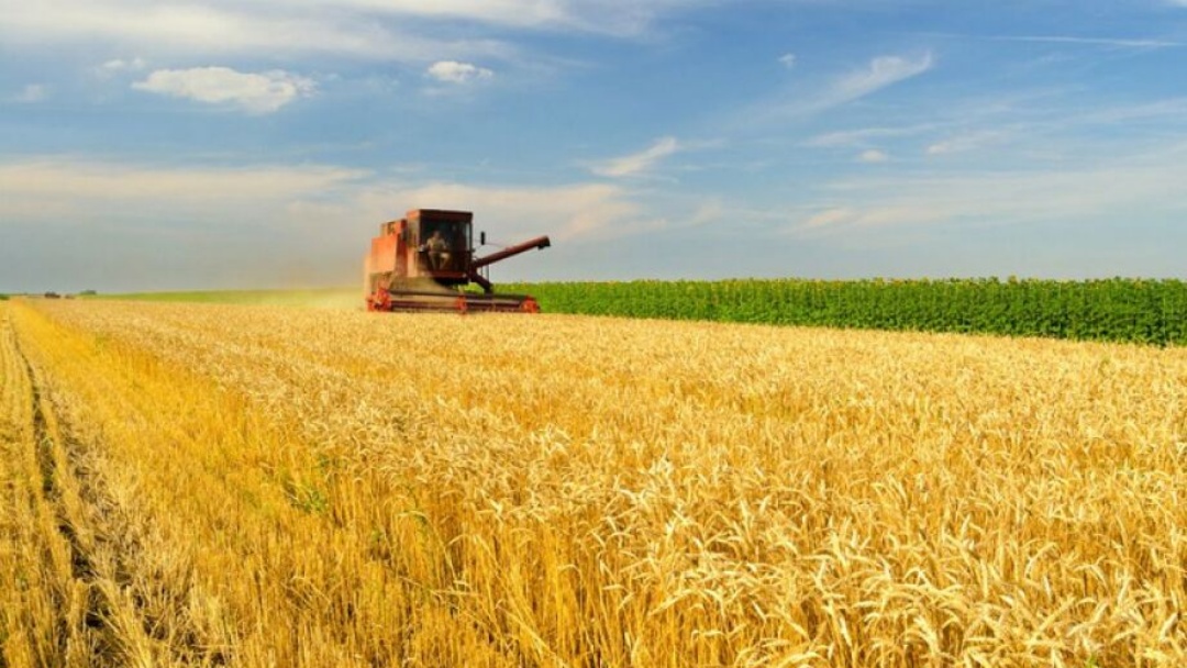 BNDES aprova R$ 205 milh&otilde;es em cr&eacute;dito do Plano Safra 2025/26 para o Mato Grosso do Sul   